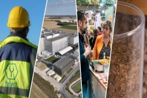 La chute brutale de Ynsect, l’échec d’un rêve green